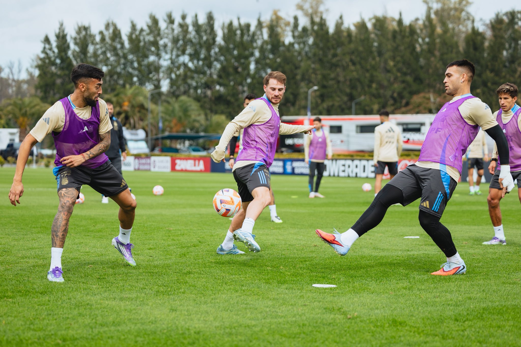 荷甲2024至2025积分榜-奇异果体育官网